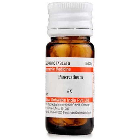 Buy DR. WILLMAR SCHWABE INDIA PANCREATINUM TRITURATION TABLET 6X 20 NO ...