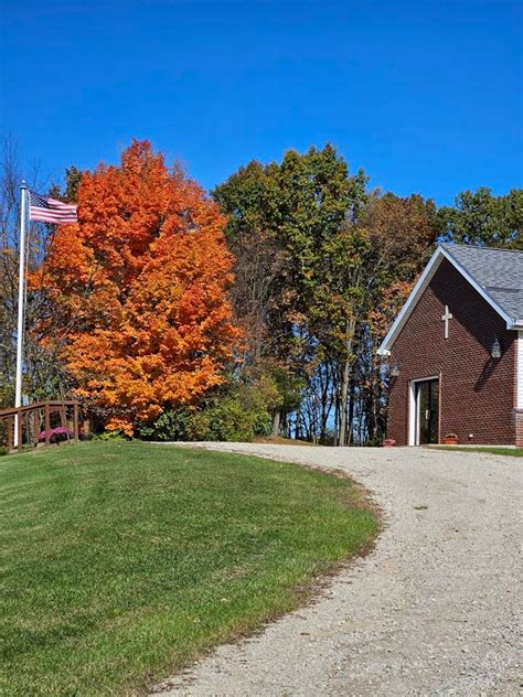 Ladies Breakfast , Harold's Place, Onsted, 8 February 2025 | AllEvents