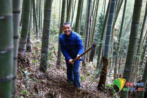 阿东挖竹笋分享经验，看竹篼竹枝以及竹子年龄，轻松挖到竹笋,三农,农村户外,好看视频