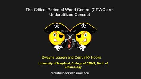 Image result for PSP CWC