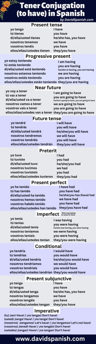 Tener Conjugation: How To Conjugate "To Have" In Spanish