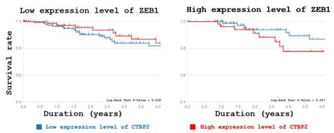 Proteomic Analysis of Zeb1 Interactome in Breast Carcinoma Cells