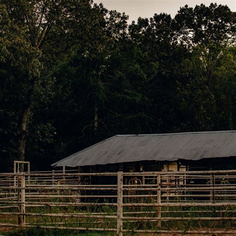 Mission & Values – Home Place Pastures