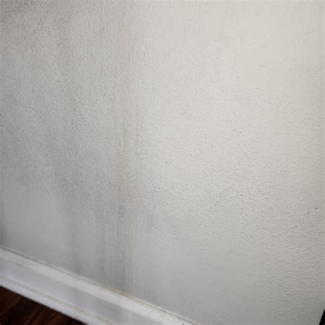 Getting marks of wall without repainting : r/CleaningTips