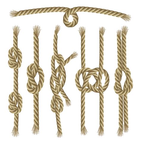 Rope Vectors - Download Free High-Quality Vectors from Freepik | Freepik