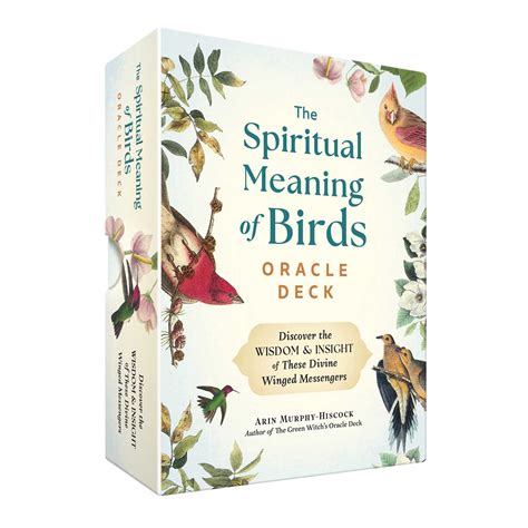 The Spiritual Meaning of Birds Oracle Deck - Book Summary & Video ...
