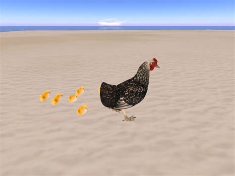Image result for TW3 Chicken New Walk Mod Mod