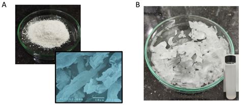 Dragon Fruit Foliage: An Agricultural Cellulosic Source to Extract ...