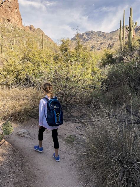 Ventana Canyon Trail: A Hiking Guide | TucsonTopia