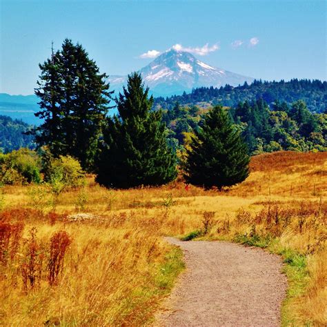 Powell Butte Nature Park (2026) - Alles wat u MOET weten voordat je ...