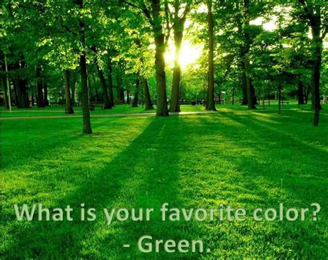 Green Favorite Color Personality Test Reveals Your True Personality Traits