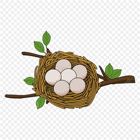 Bird Nest Clipart Free at Lilly Goffage blog