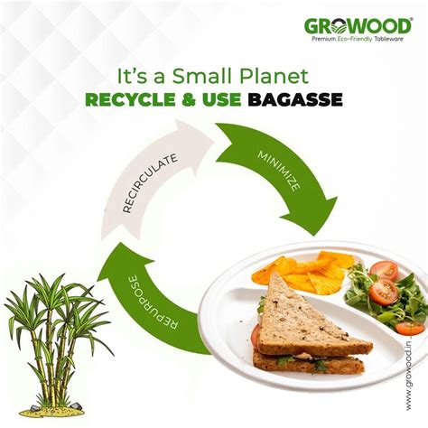 How Bagasse Products Are Transforming Global Packaging Industry