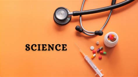 Science of Class 6 CBSE 的图像结果