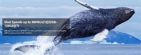 SanDisk 64 GB Extreme Pro SD UHS-I Memory Card with Up to 200 MB/Sec ...