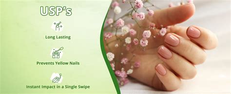 Buy ENN Beauty Color N Care Nail Paint Kit, Quick drying & Long Lasting ...