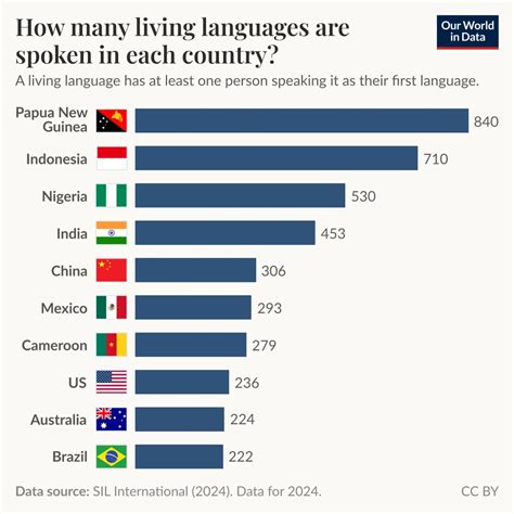 Los países que hablan más idiomas: diversidad lingüística del planeta - Colmena de Datos