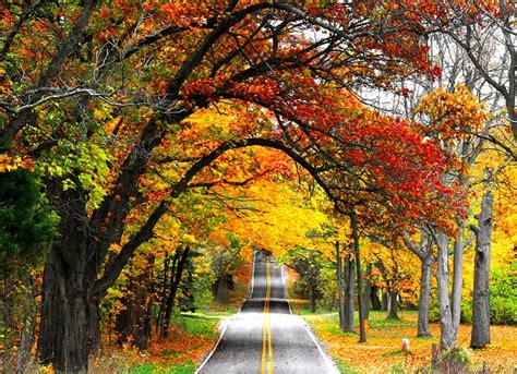 Image result for Autumn Homework EYFS