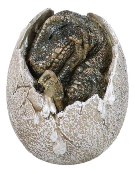 Buy Ebros Gift Jurassic Era Predator Tyrannosaurus Rex In Egg Dinosaur ...