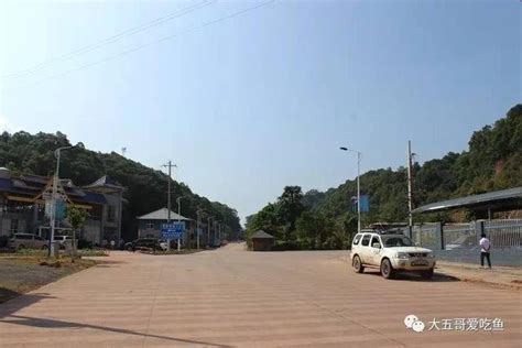 第五分院开展景勐高速勐海县城至打洛口岸段施工图设计外业调查_高速公路