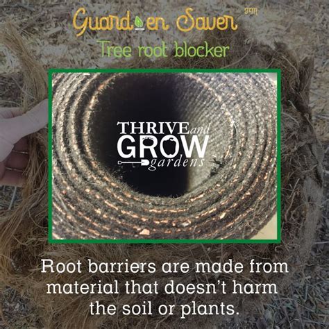 Image result for Tree Root Guard