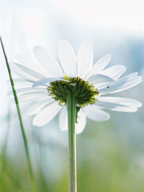 Saturday good morning images with wishes to start the weekend | Times Now