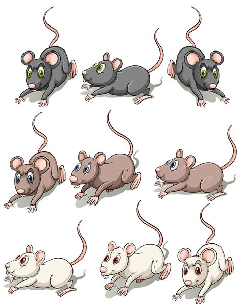 Mice Clip Art