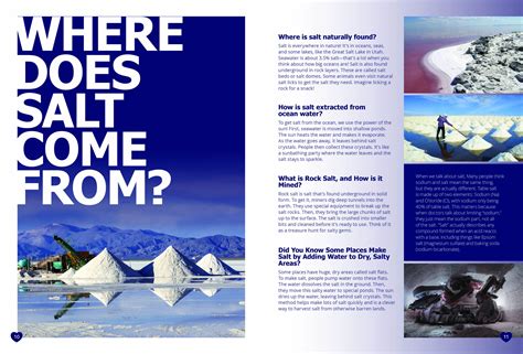Where Does Salt Come From? | BOLDer Magazine