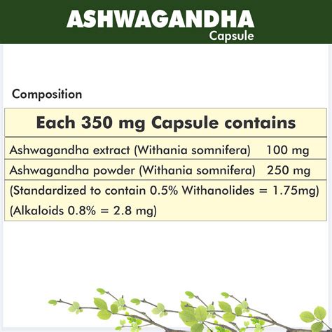 Buy Ashwagandha Capsule – Natural Stress Relief and Immune Support ...
