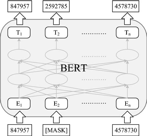 Bert Mask Task Pre Training Model 的图像结果