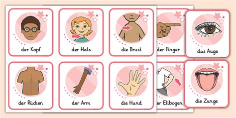 Körperteile - Flashcards (teacher made) - Twinkl