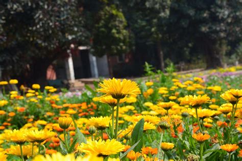 BARADARI GARDEN (2026) All You Need to Know BEFORE You Go (with Photos ...