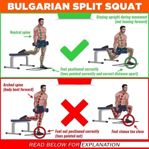 Home Workout Routine Squat
