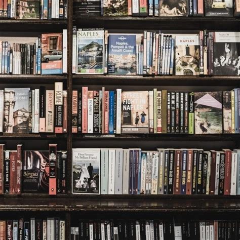 Collection of Amazing 999+ Lovers Day Images in Full 4K