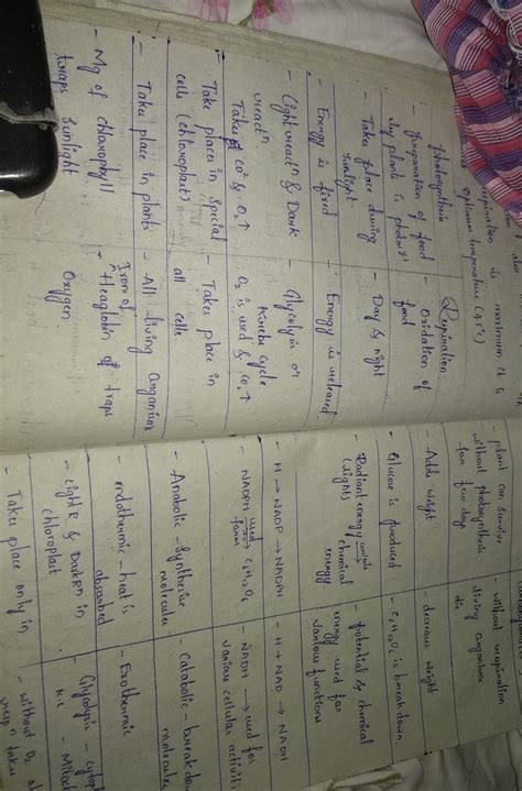 Differenciate between photosynthesis and respiration - Brainly.in