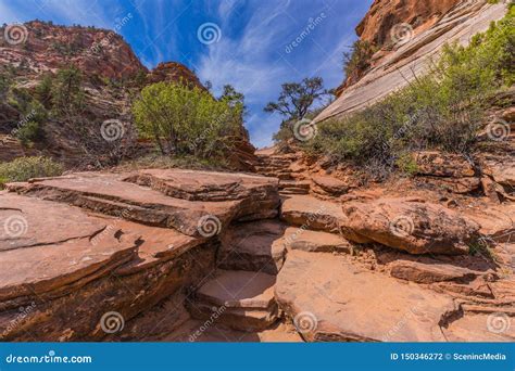 Canyon Overlook Trail Stairs, Zion Stock Photo - Image of canyon ...