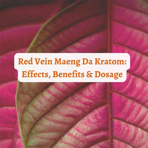 Red Vein Maeng Da Kratom: Effects, Benefits & Dosage