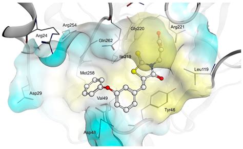 In Search for Multi-Target Ligands as Potential Agents for Diabetes ...