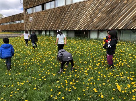 Learning Lessons for Kindergarten 的图像结果