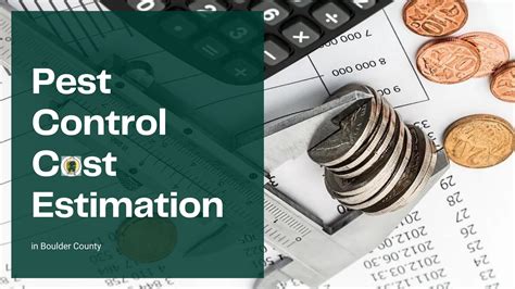 How Much Does Pest Control Service Cost in Boulder County?