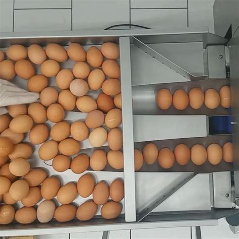 Food Making Machine 的图像结果