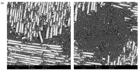 Evaluation of the Behavior of Two CAD/CAM Fiber-Reinforced Composite ...