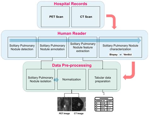 A Multi-Modal Machine Learning Methodology for Predicting Solitary ...