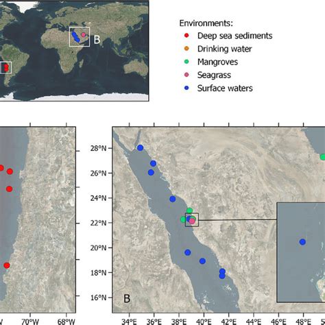 Environmental Samples 的图像结果