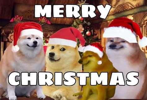Merry Christmas Meme Dog