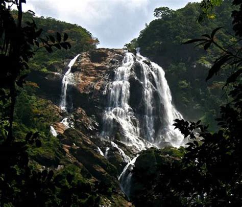 Dudhsagar Waterfall: Popular Waterfall In Maharashtra | Mumbai Orbit