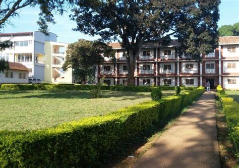 Mzumbe University (Dar es Salaam, Tanzania)