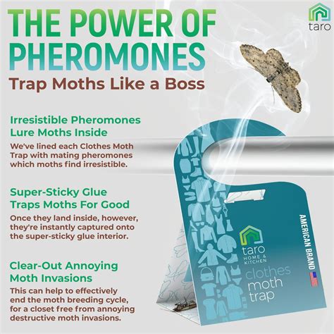 Buy Clothes Moth Traps with Pheromones and Free Cedar Blocks Moth ...