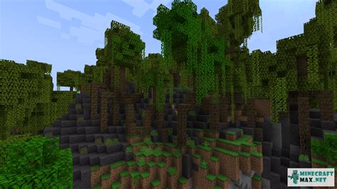 Swamp Minecraft 的图像结果