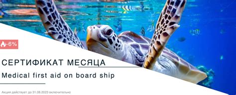 🚢 Морские документы Одесса, Киев, Херсон: оформление и продление ...